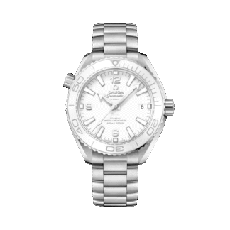 Seamaster Planet Ocean 600M 39.5 mm, steel on steel