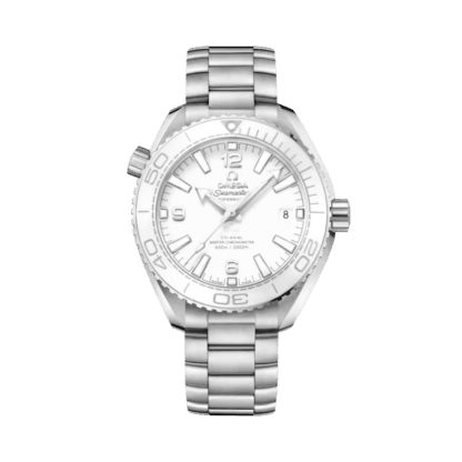 Seamaster Planet Ocean 600M 39.5 mm, steel on steel
