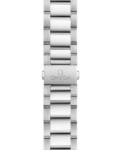 Strap - Seamaster Aqua Terra 150M 41 mm, Black Dial