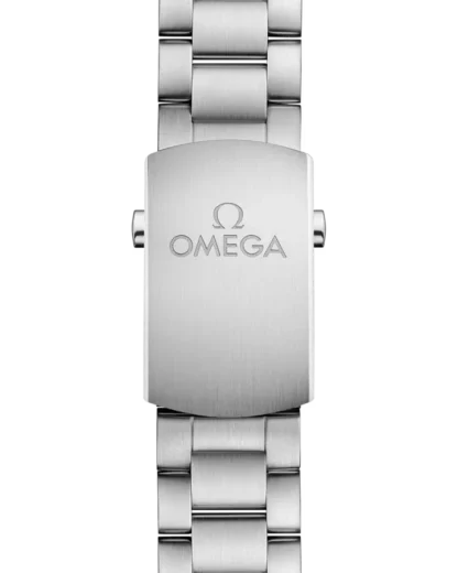 strap - Seamaster Planet Ocean 600M 39.5 mm, steel on steel