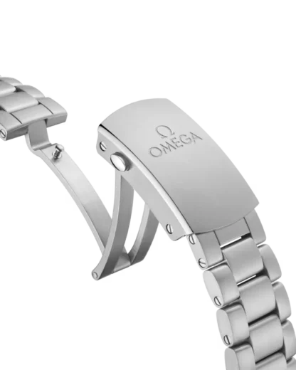 Seamaster Planet Ocean 600M 39.5 mm, steel on steel