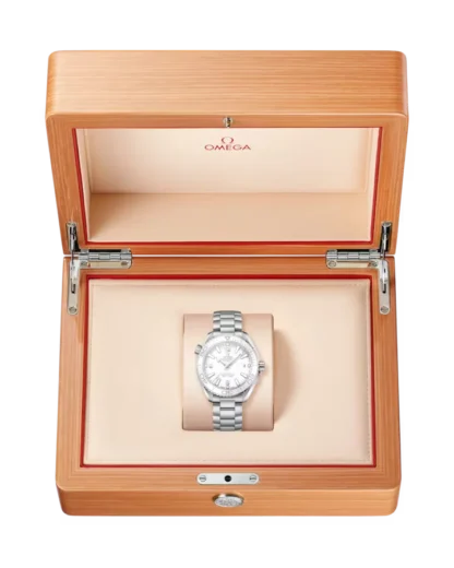 box - Seamaster Planet Ocean 600M 39.5 mm, steel on steel