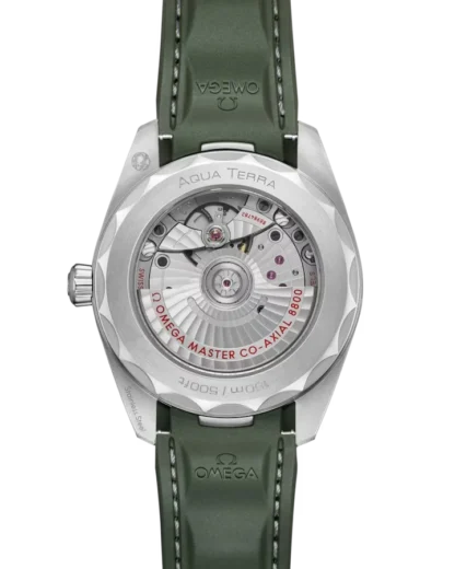 Omega Seamaster Aqua Terra 150M, back case