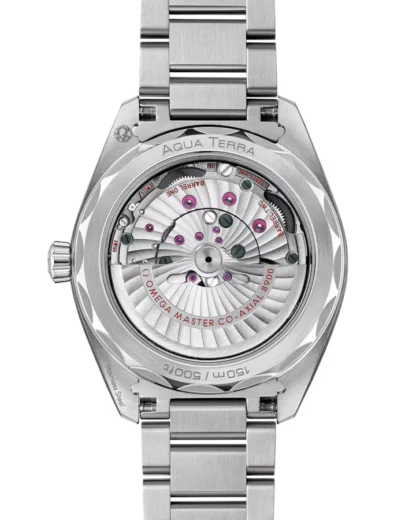 Seamaster Aqua Terra 150M 41 mm, blue dial & steel on steel backside