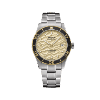 Ocean Star 39, Champagne Dial & Stainless Steel