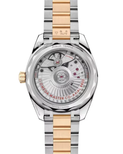 Seamaster Aqua Terra Shades - back view