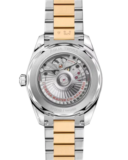Seamaster Aqua Terra Shades 38 mm - back view