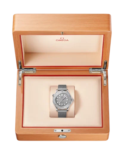 Seamaster Diver 300M Steel Chronometer Watch on the box