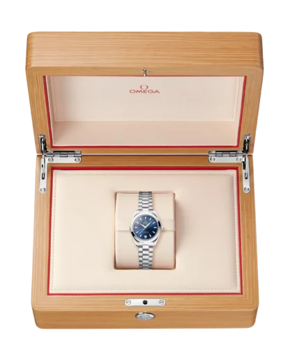 Seamaster Aqua Terra 150M 30 mm, steel on steel - Image 8