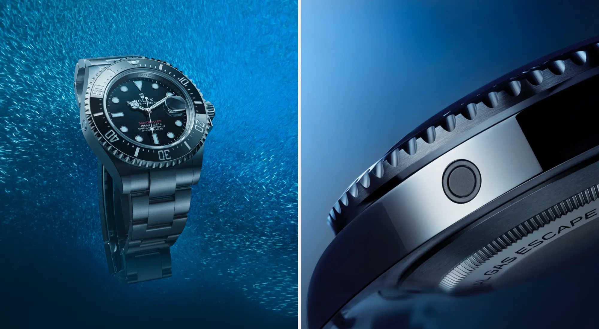 Rolex Sea-Dweller watches - Montecristo Jewellers