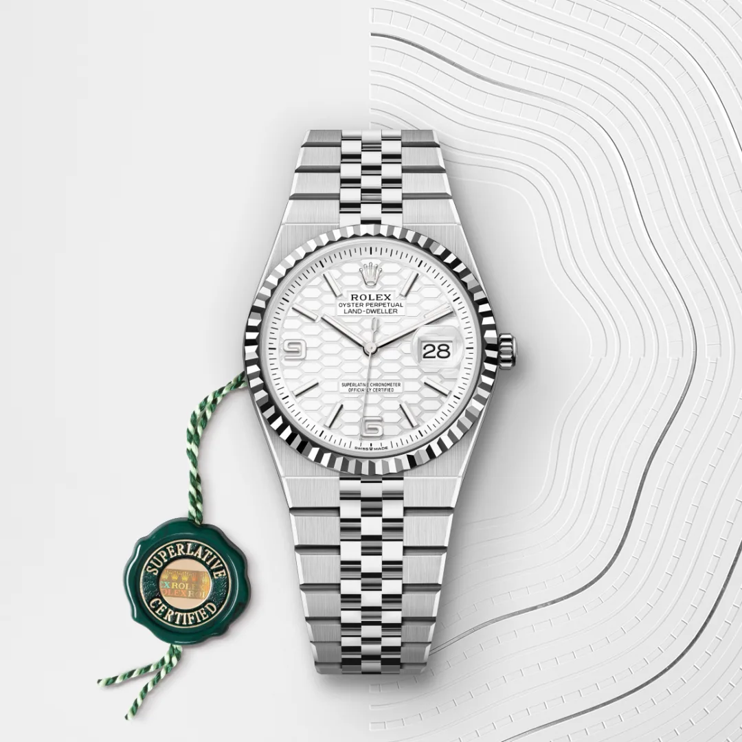 Rolex Land-Dweller in White Rolesor - combination of Oystersteel and white gold M127234-0001- Montecristo Jewellers