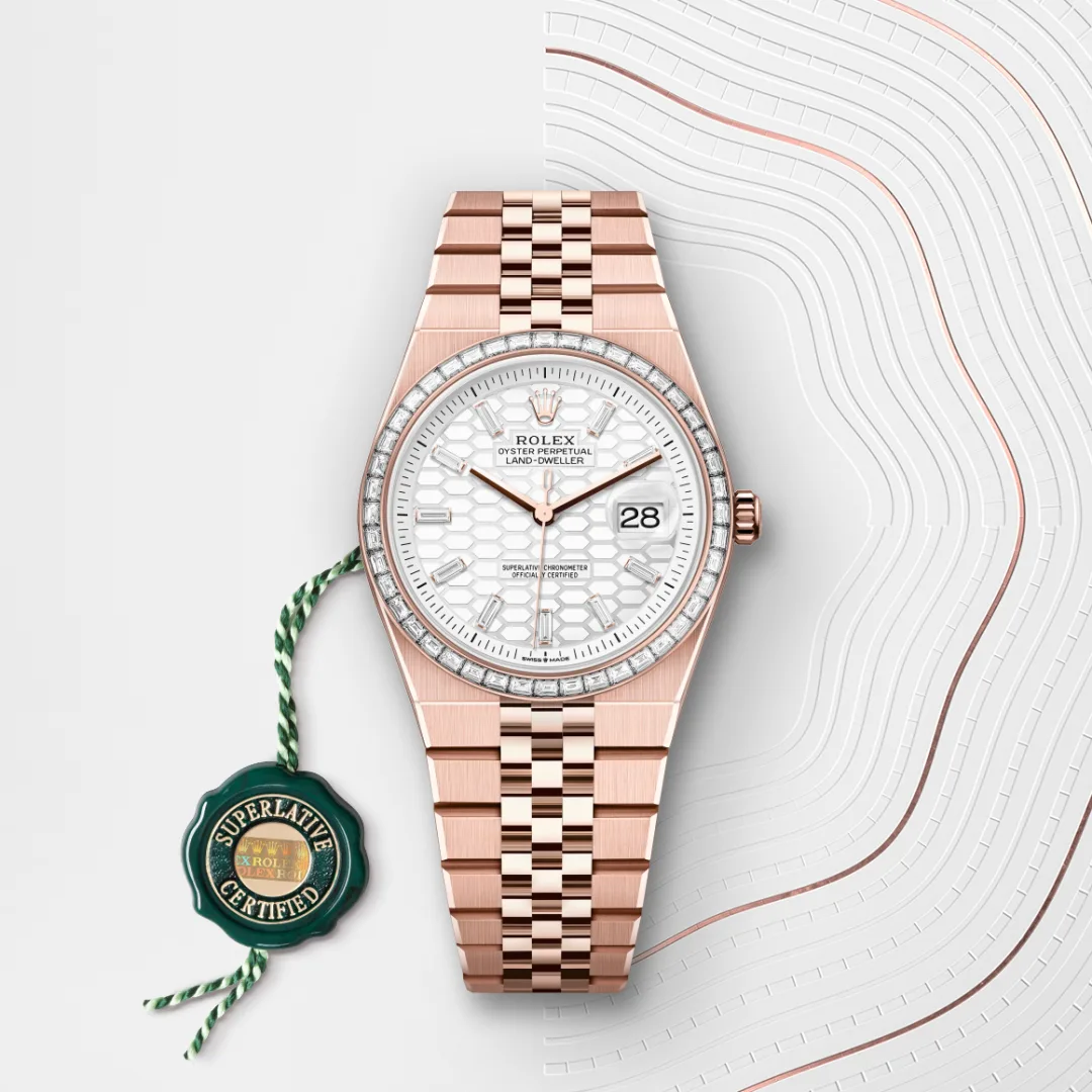 Rolex Land-Dweller in 18 ct Everose gold M127285TBR-0002- Montecristo Jewellers