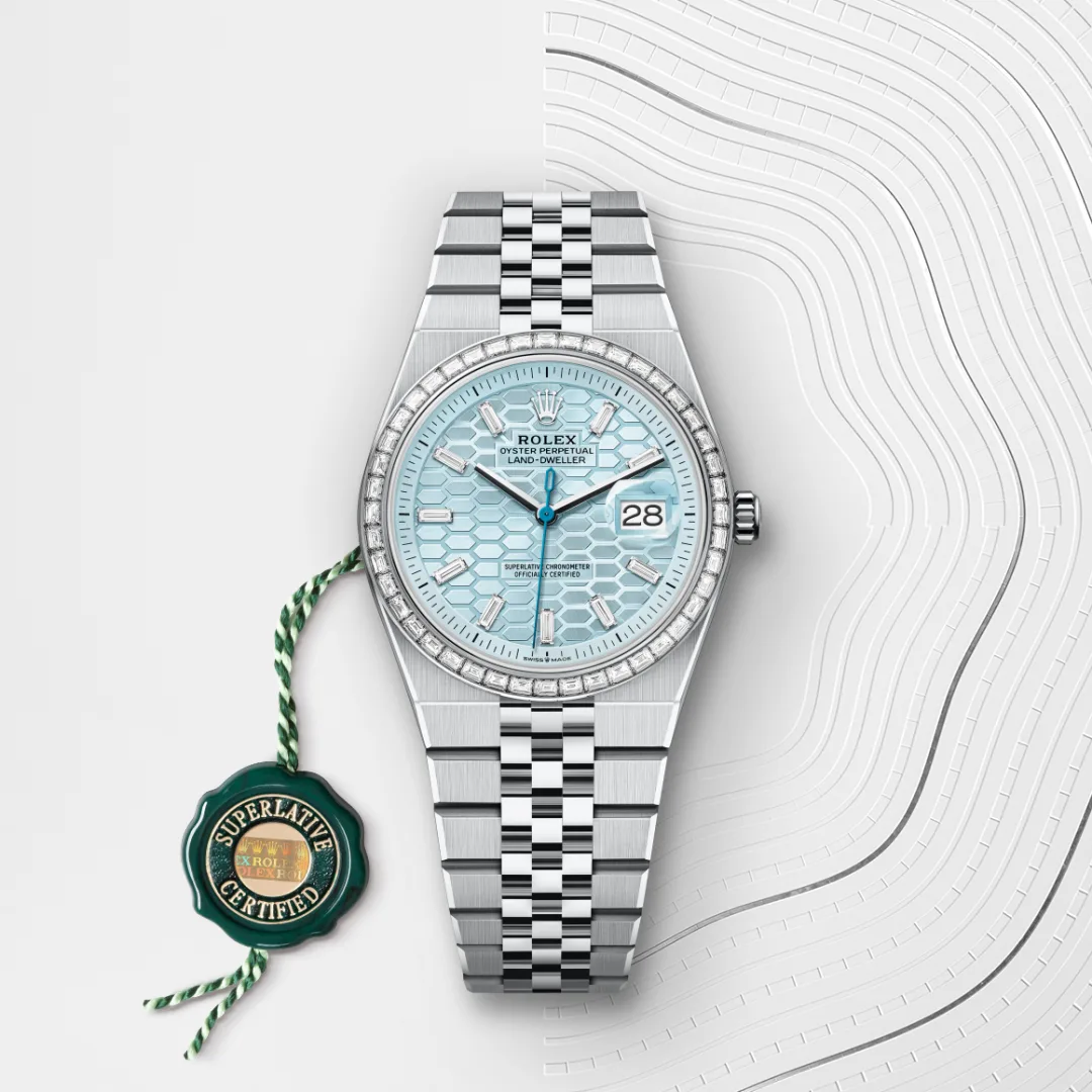 Rolex Land-Dweller in Platinum M127286TBR-0001- Montecristo Jewellers