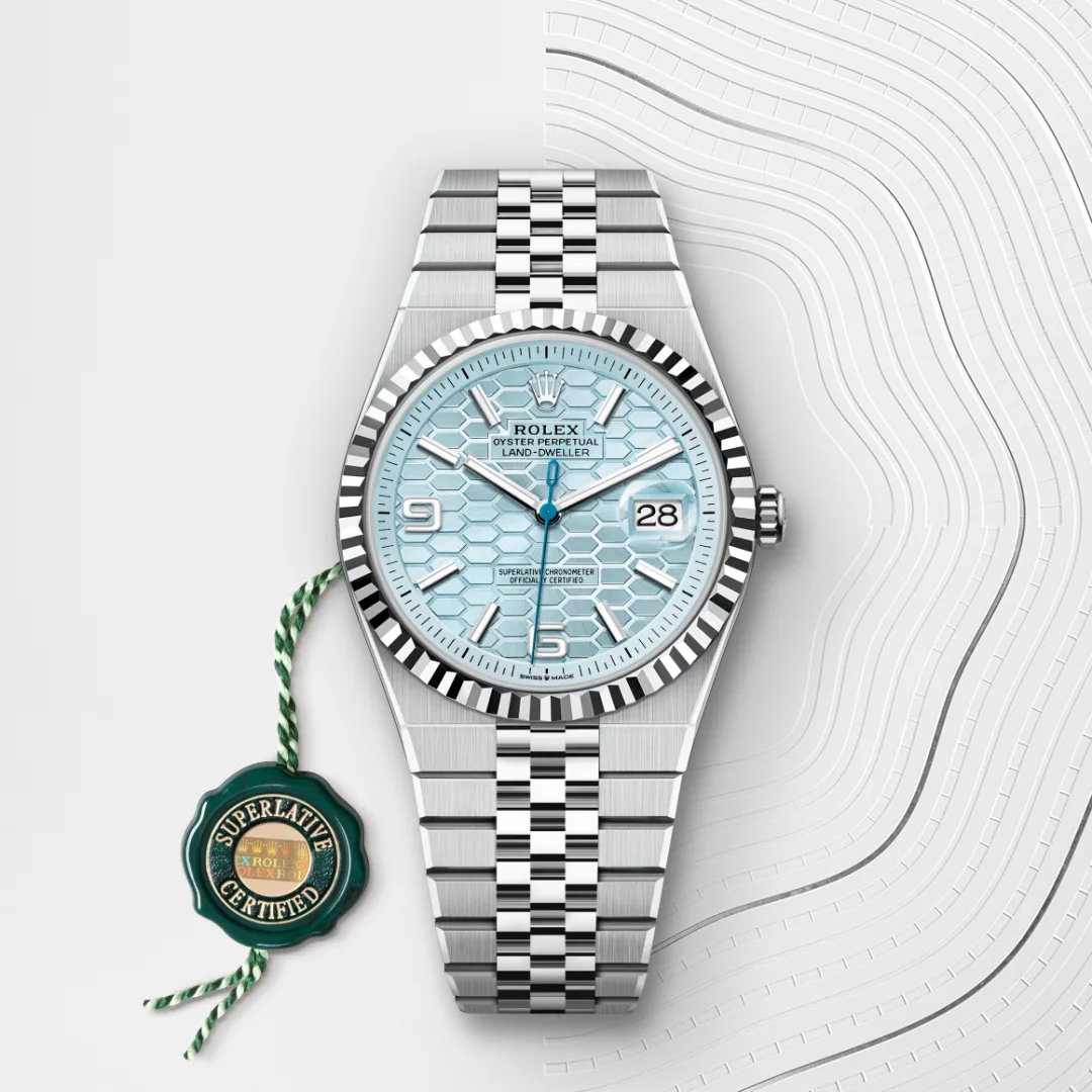 Rolex Land-Dweller in Platinum M127336-0001- Montecristo Jewellers