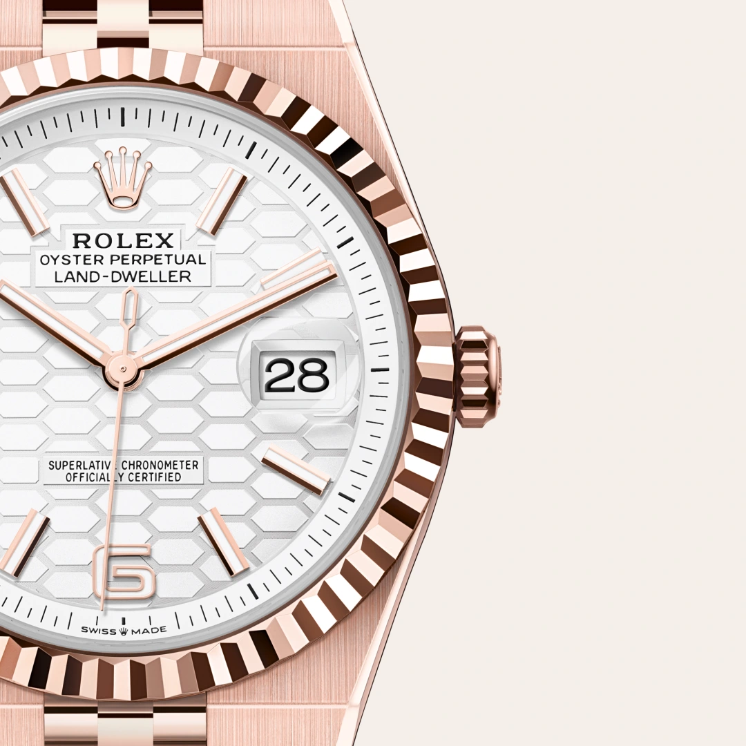 Rolex Land-Dweller in 18 ct Everose gold M127335-0001- Montecristo Jewellers