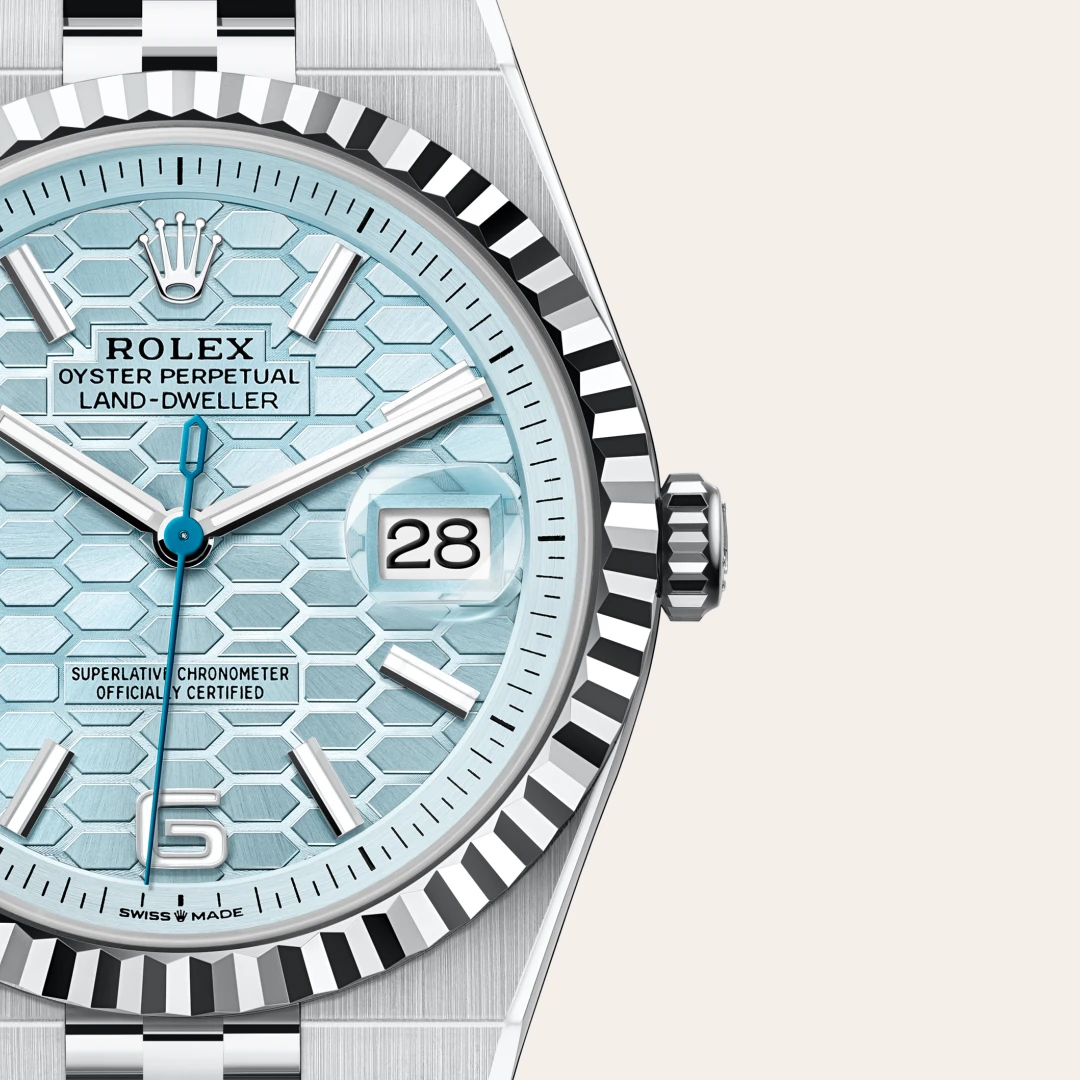 Rolex Land-Dweller in Platinum M127336-0001- Montecristo Jewellers