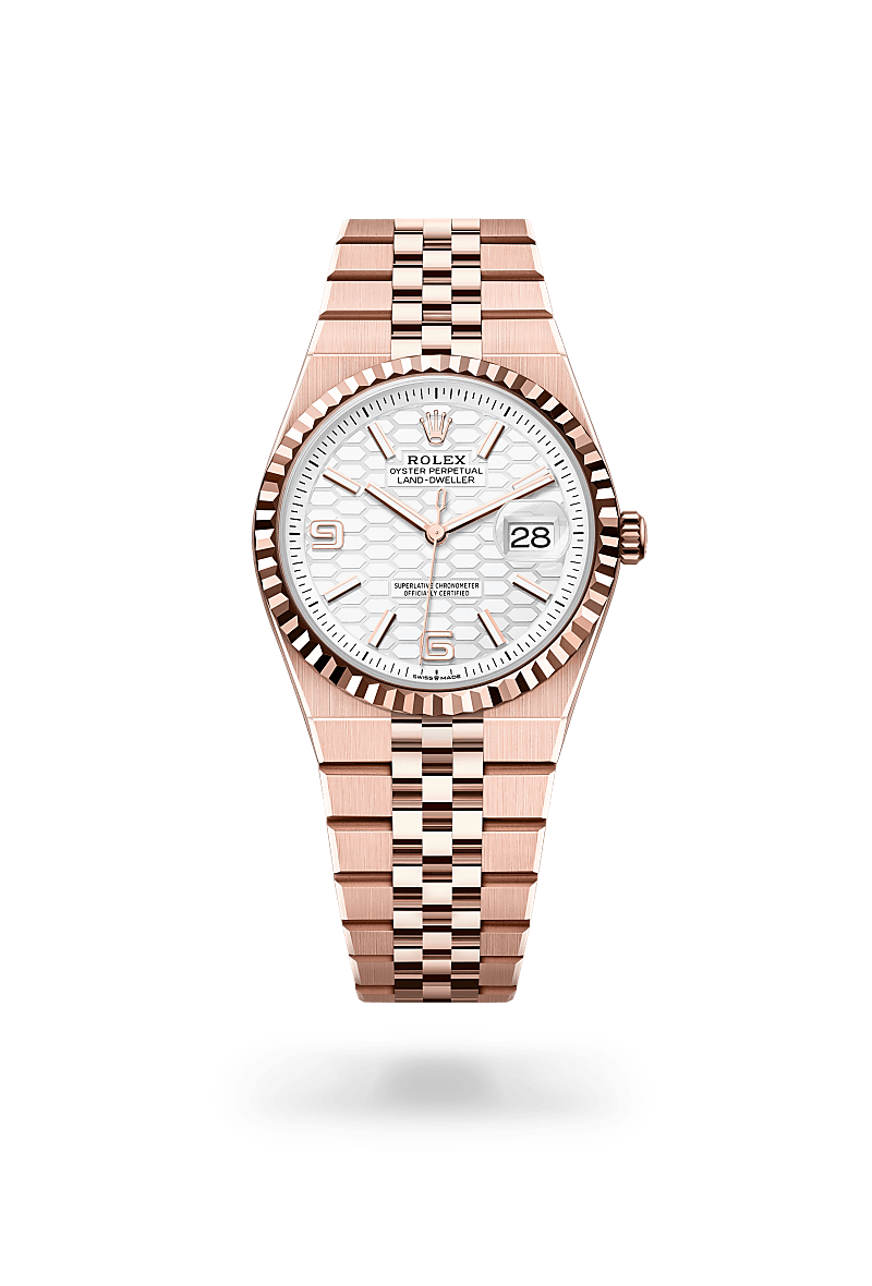 Rolex Land-Dweller in 18 ct Everose gold M127235-0001- Montecristo Jewellers